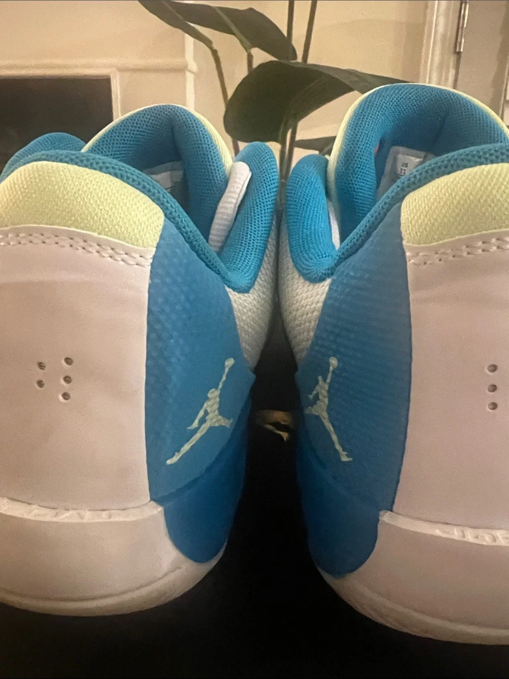 Jordan Men’s White Blue Green Low-Top Sneakers